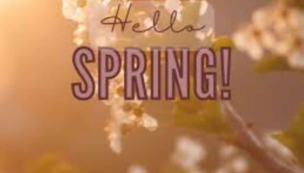 Spring hair in Long Island, New York