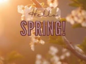 Spring hair in Long Island, New York