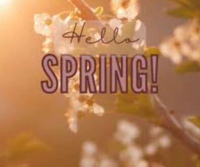 Spring hair in Long Island, New York