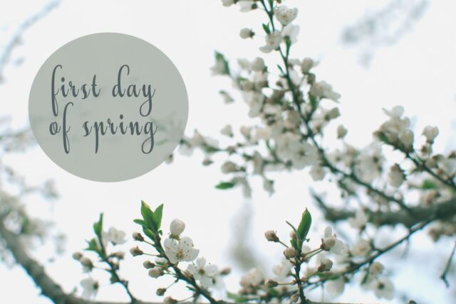 🌸🌱 Hello, Spring! 🌞🍃 Today marks the beginning of a new season filled with blossoming flowers, warmer days, and renewed energy. Let's embrace the beauty of nature's awakening and cherish the vibrant colors that surround us. Here's to fresh beginnings and blooming possibilities! 🌷✨ #FirstDayOfSpring #HelloSpring #NewBeginnings